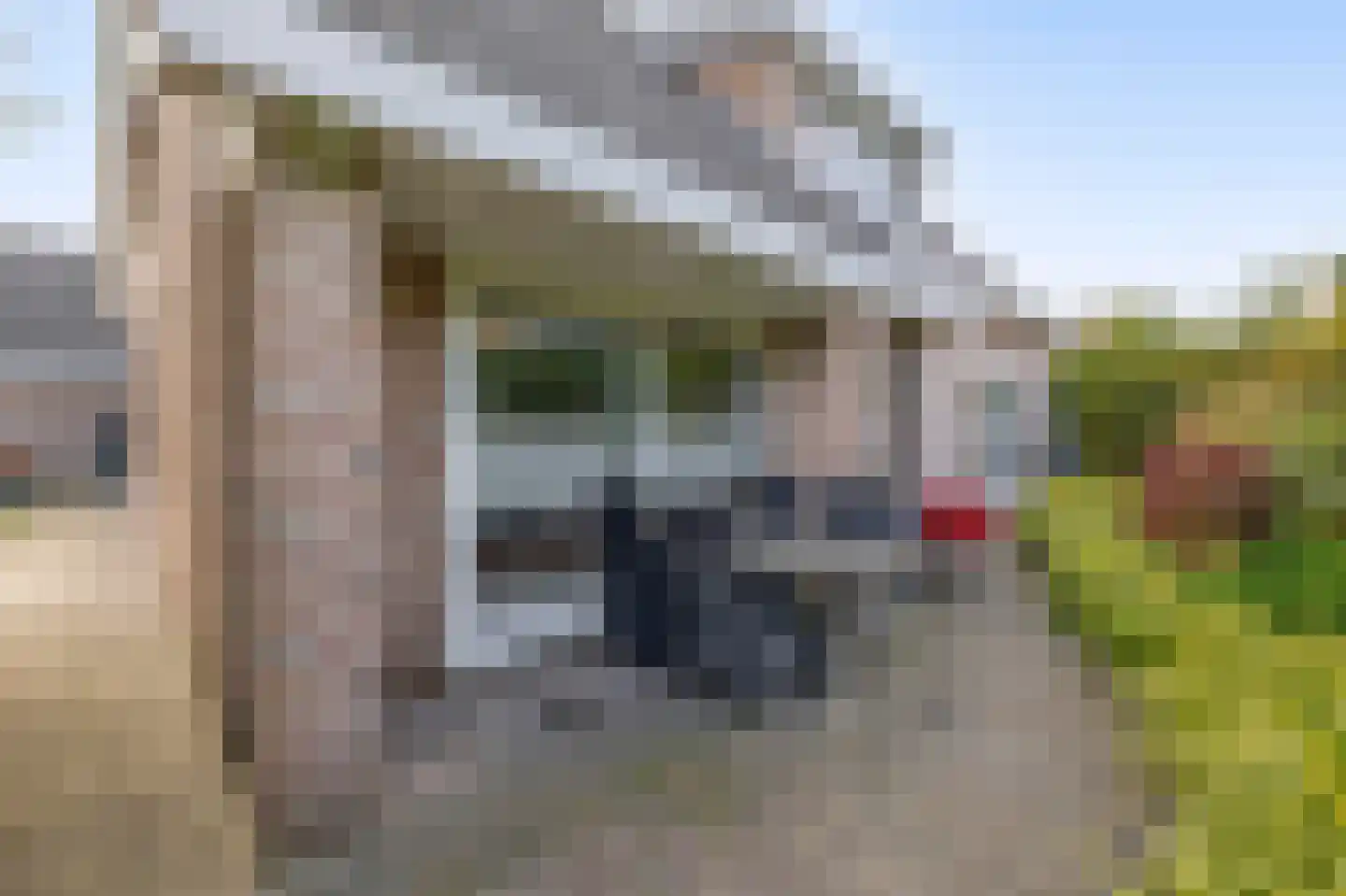 Oesterzwam 26 Standdaarbuiten thumbnail 44