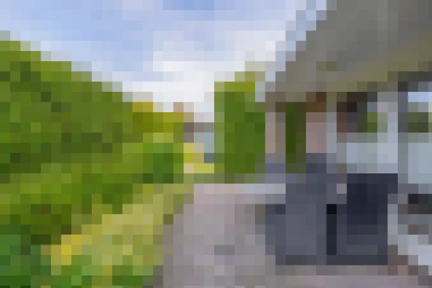 Oesterzwam 26 Standdaarbuiten thumbnail 45