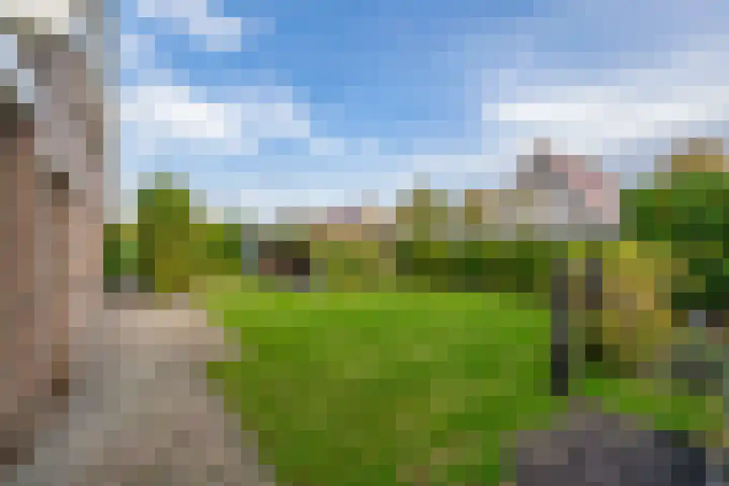 Oesterzwam 26 Standdaarbuiten thumbnail 48