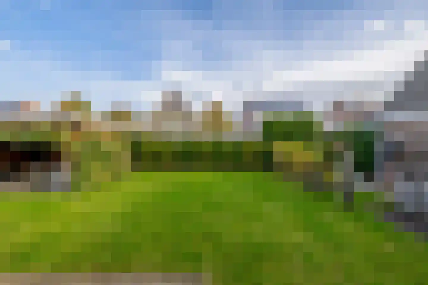 Oesterzwam 26 Standdaarbuiten thumbnail 49