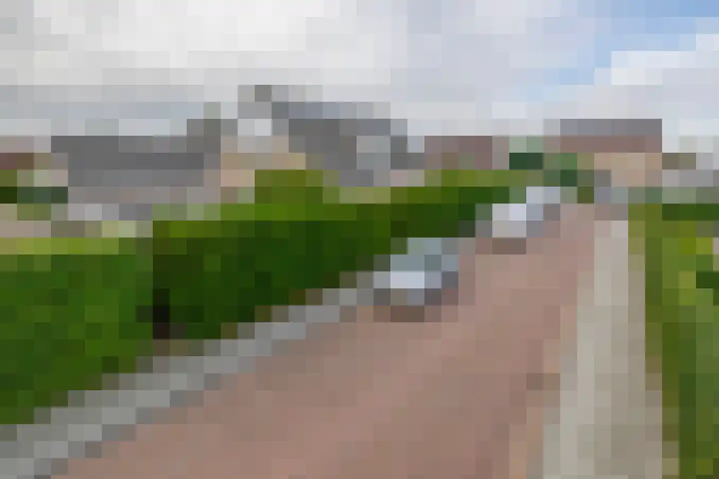Oesterzwam 26 Standdaarbuiten thumbnail 5