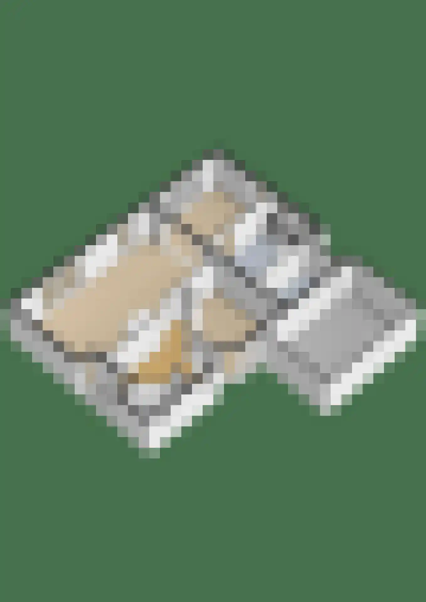 Oesterzwam 26 Standdaarbuiten thumbnail 51