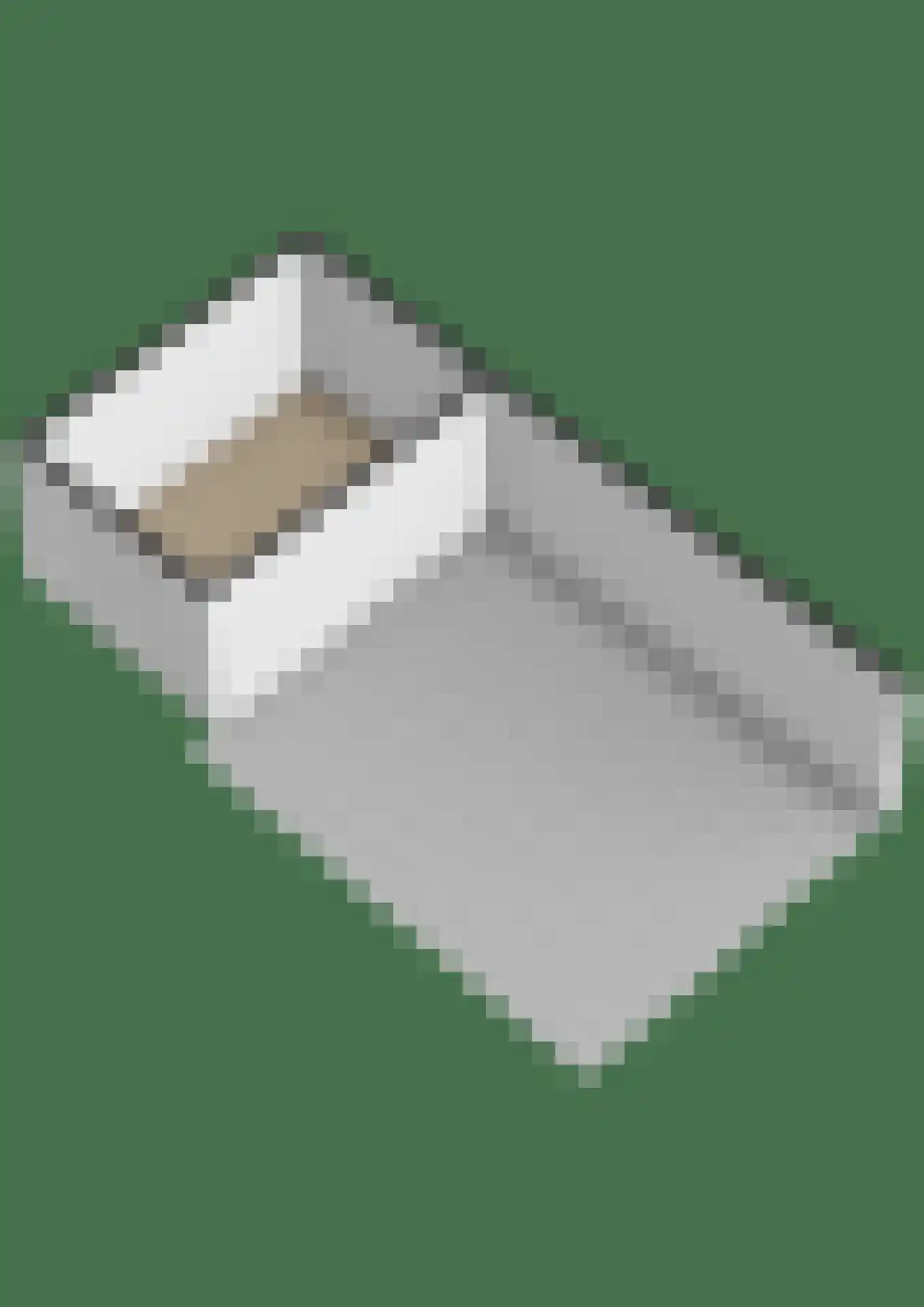 Oesterzwam 26 Standdaarbuiten thumbnail 53