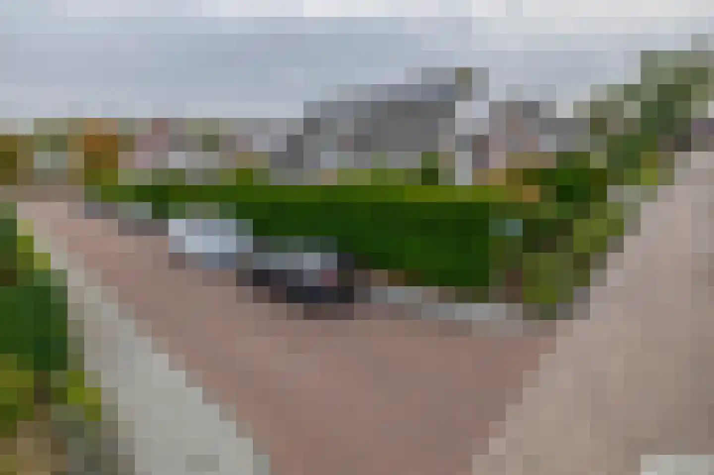 Oesterzwam 26 Standdaarbuiten thumbnail 6