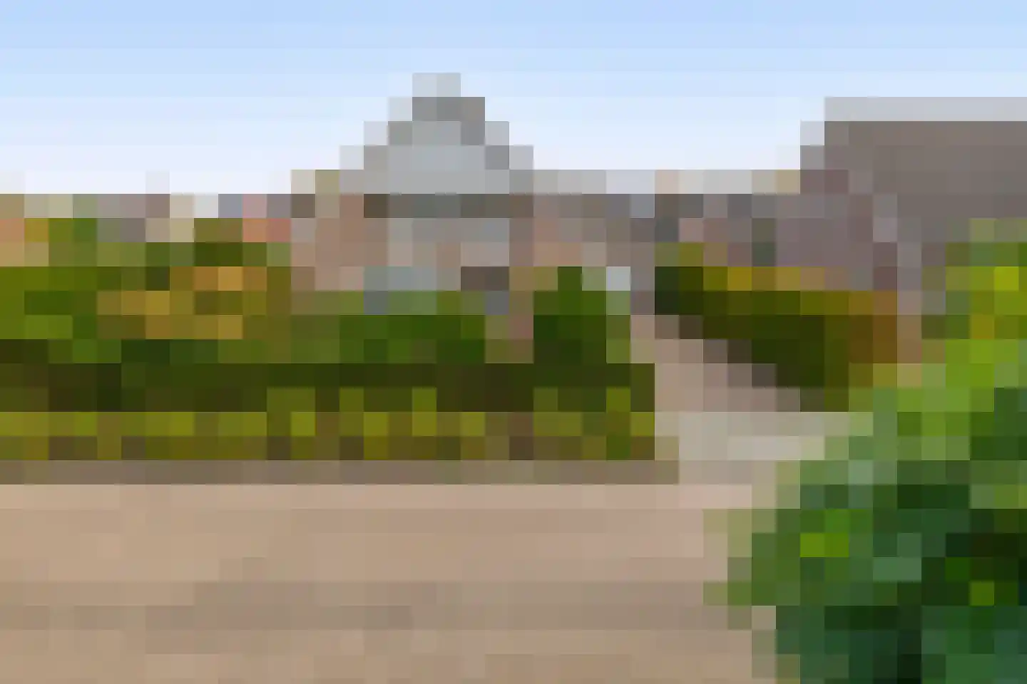 Oesterzwam 26 Standdaarbuiten thumbnail 7