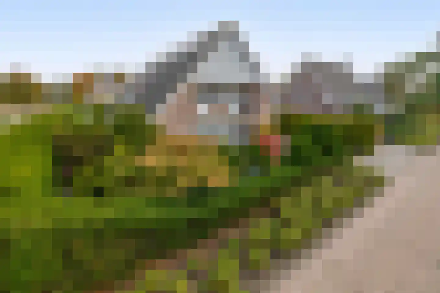 Oesterzwam 26 Standdaarbuiten thumbnail 8