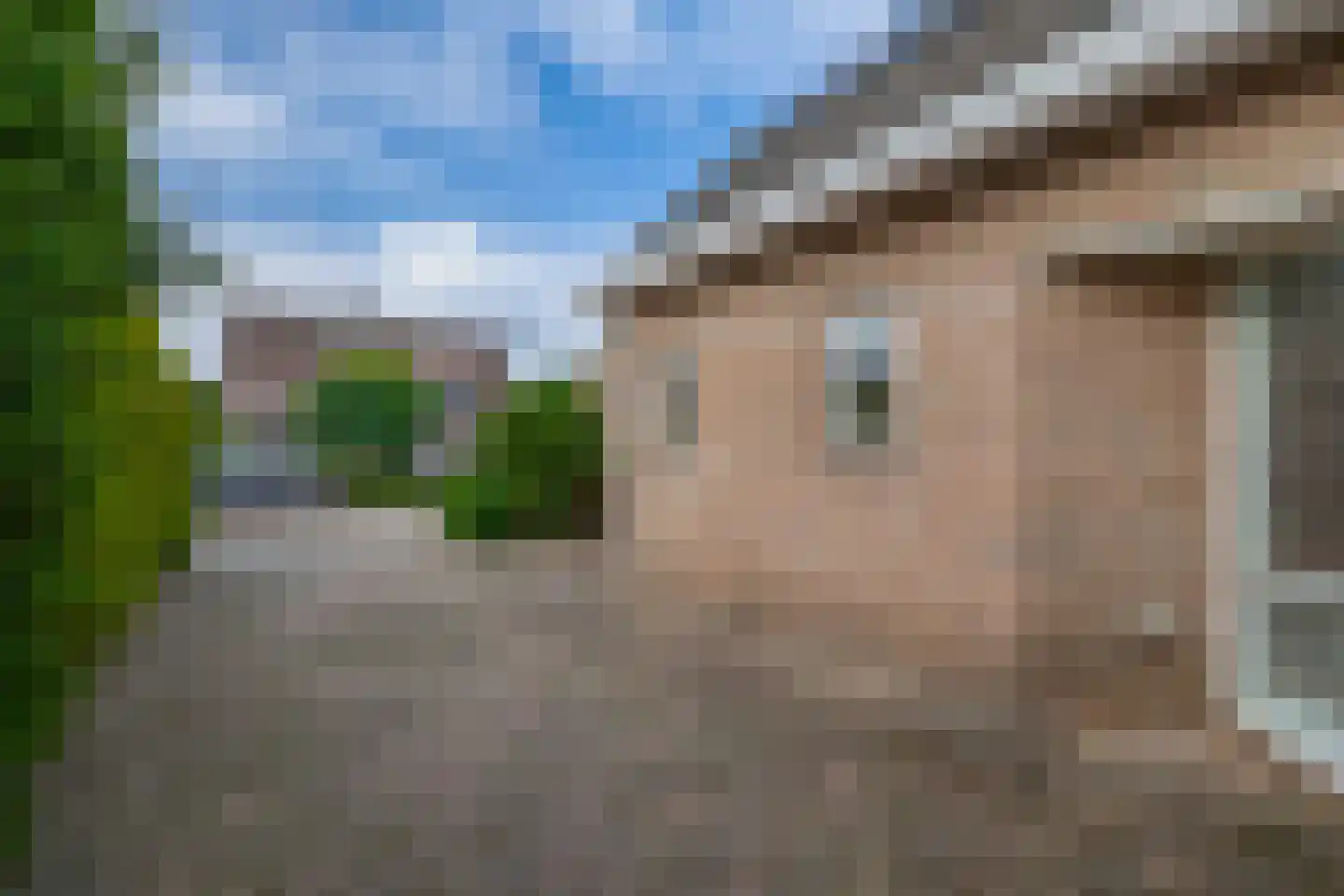 Oesterzwam 26 Standdaarbuiten thumbnail 9