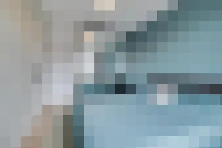 Oesterzwam 32 Apeldoorn thumbnail 13