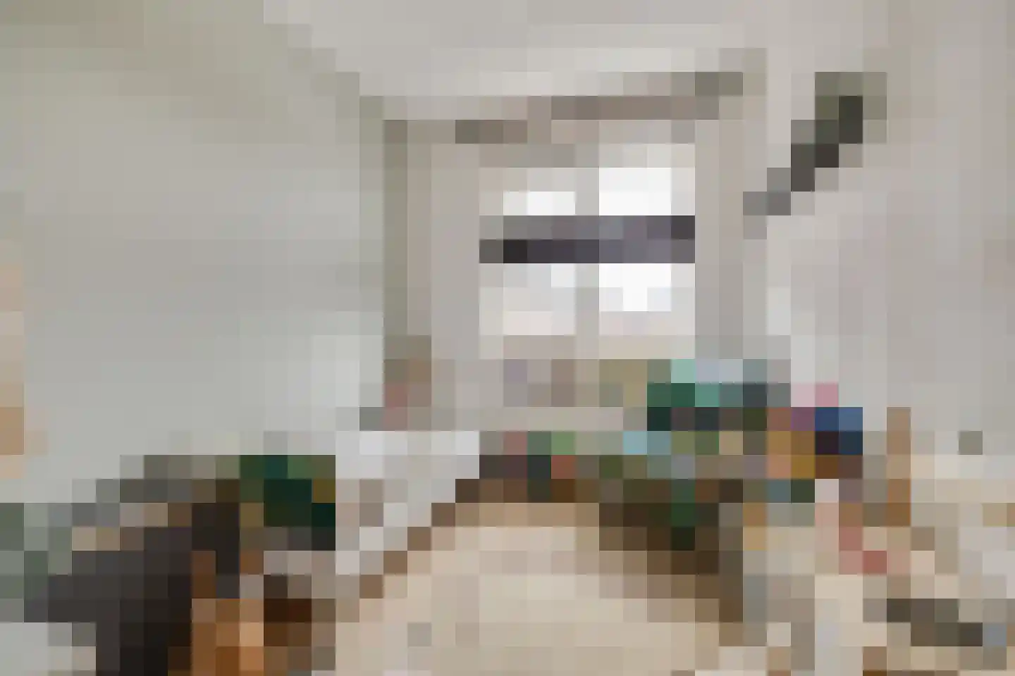 Oesterzwam 32 Apeldoorn thumbnail 14