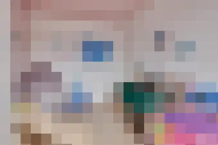 Oesterzwam 32 Apeldoorn thumbnail 17