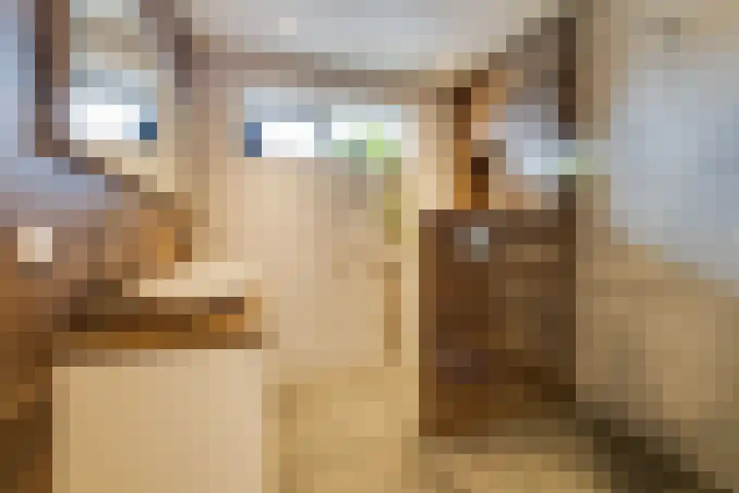 Oesterzwam 32 Apeldoorn thumbnail 18