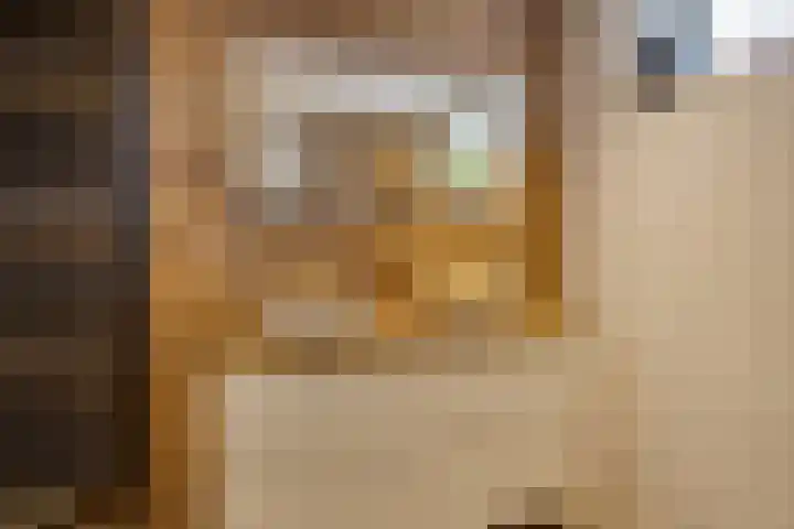 Oesterzwam 32 Apeldoorn thumbnail 20