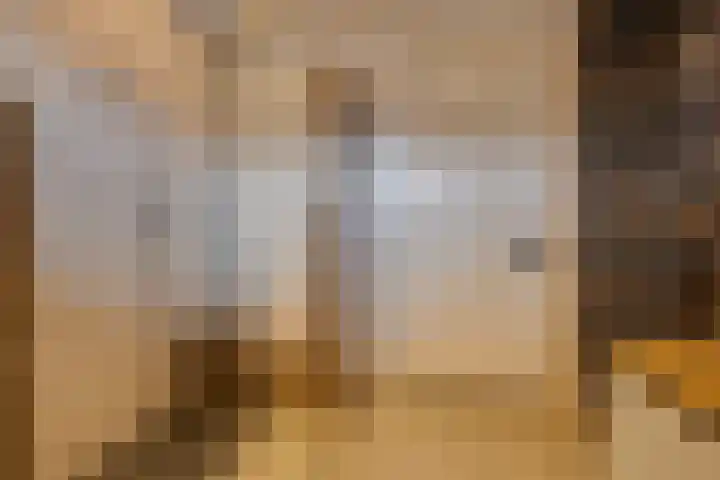 Oesterzwam 32 Apeldoorn thumbnail 21