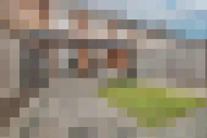 Oesterzwam 32 Apeldoorn thumbnail 25