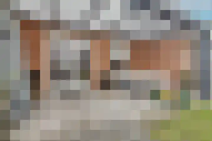 Oesterzwam 32 Apeldoorn thumbnail 26