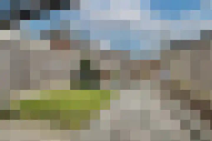 Oesterzwam 32 Apeldoorn thumbnail 27