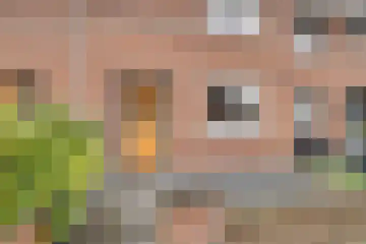 Oesterzwam 32 Apeldoorn thumbnail 29