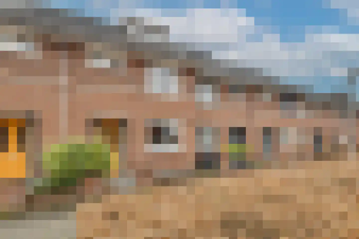 Oesterzwam 32 Apeldoorn thumbnail 30