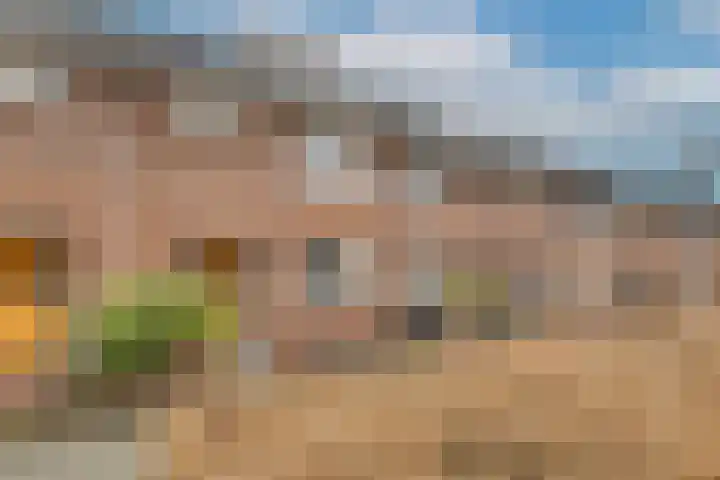 Oesterzwam 32 Apeldoorn thumbnail 30