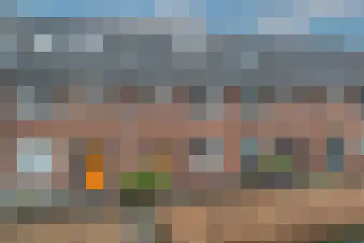 Oesterzwam 32 Apeldoorn thumbnail 31