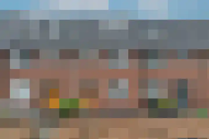 Oesterzwam 32 Apeldoorn thumbnail 32