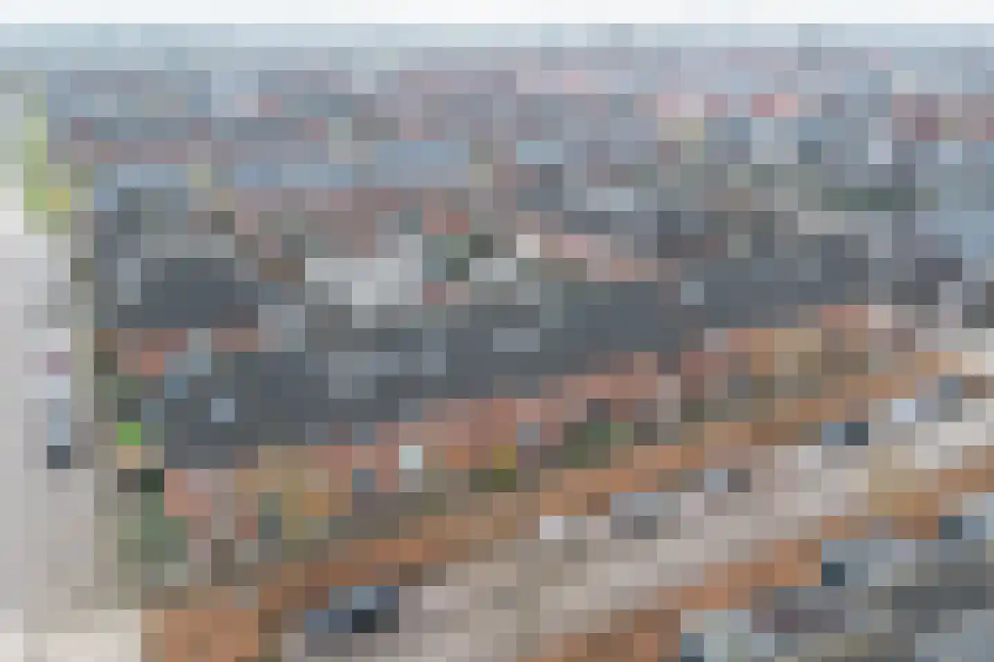 Oesterzwam 32 Apeldoorn thumbnail 33