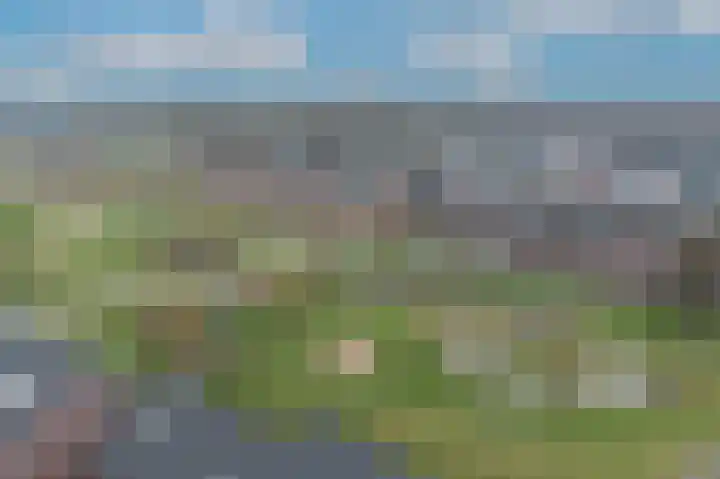 Oesterzwam 32 Apeldoorn thumbnail 34