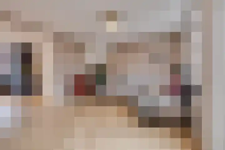 Oesterzwam 32 Apeldoorn thumbnail 5