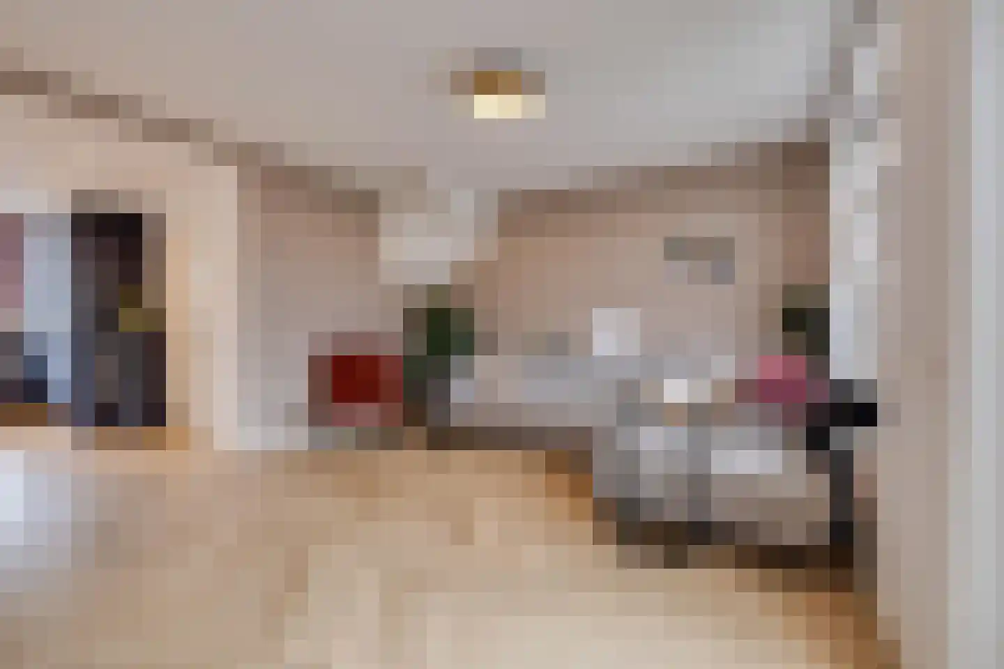 Oesterzwam 32 Apeldoorn thumbnail 5