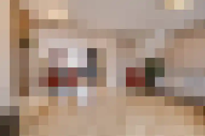 Oesterzwam 32 Apeldoorn thumbnail 6