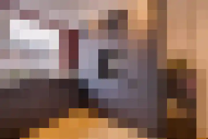 Oesterzwam 32 Apeldoorn thumbnail 9