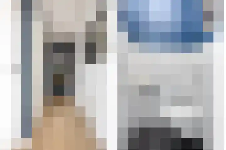 Oesterzwam 33 Apeldoorn thumbnail 10