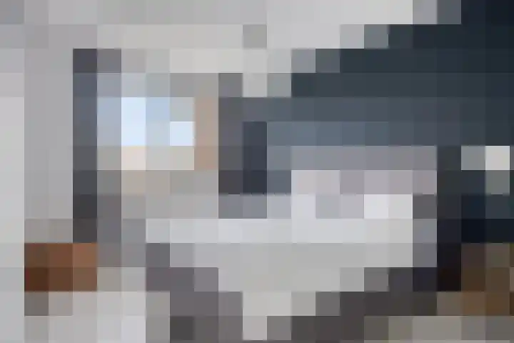 Oesterzwam 33 Apeldoorn thumbnail 14