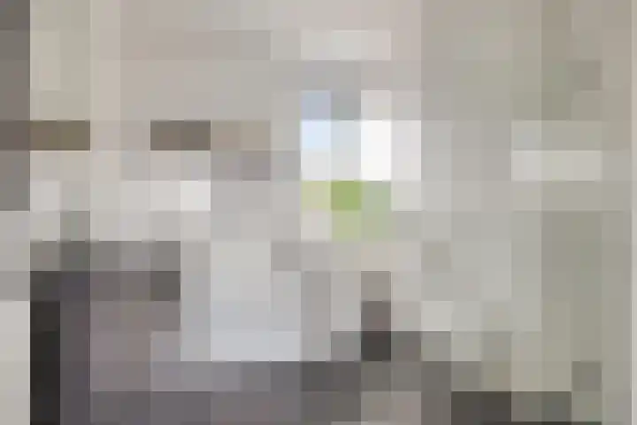 Oesterzwam 33 Apeldoorn thumbnail 16