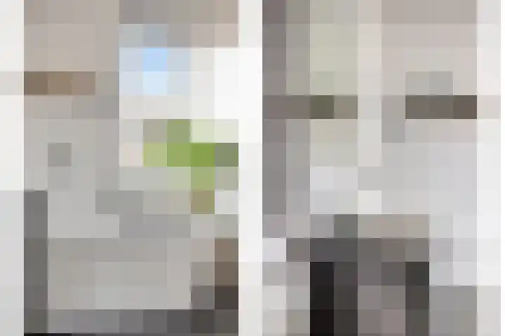 Oesterzwam 33 Apeldoorn thumbnail 17