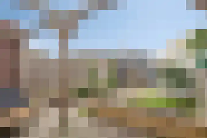 Oesterzwam 33 Apeldoorn thumbnail 21