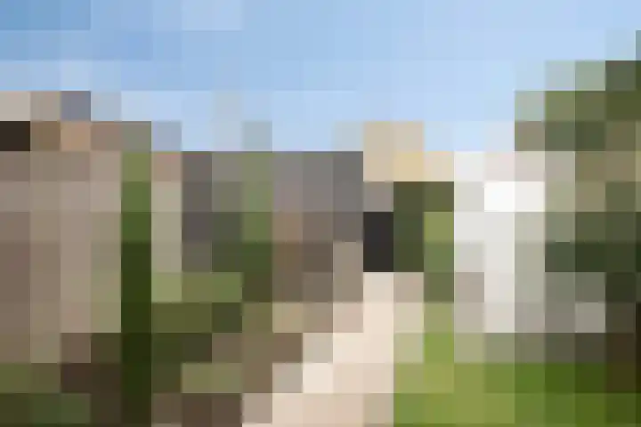 Oesterzwam 33 Apeldoorn thumbnail 22