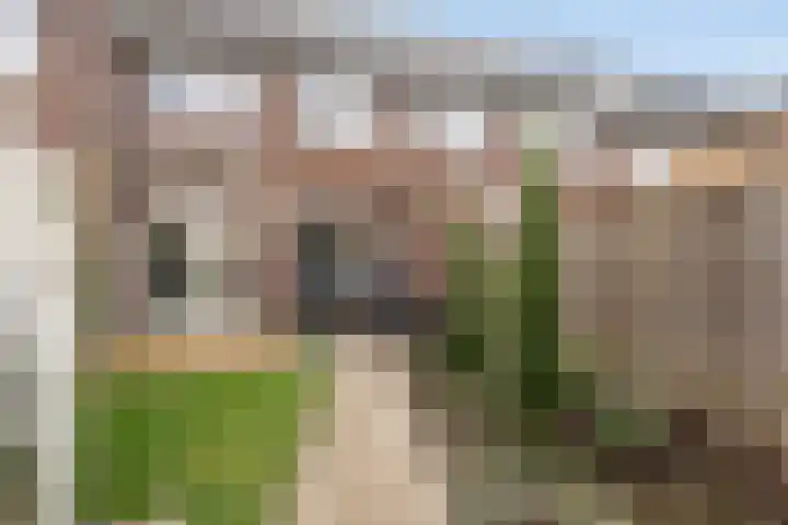 Oesterzwam 33 Apeldoorn thumbnail 23