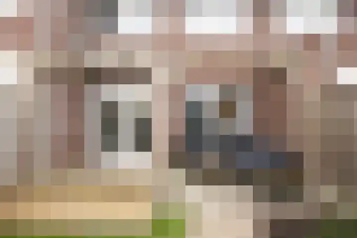 Oesterzwam 33 Apeldoorn thumbnail 24