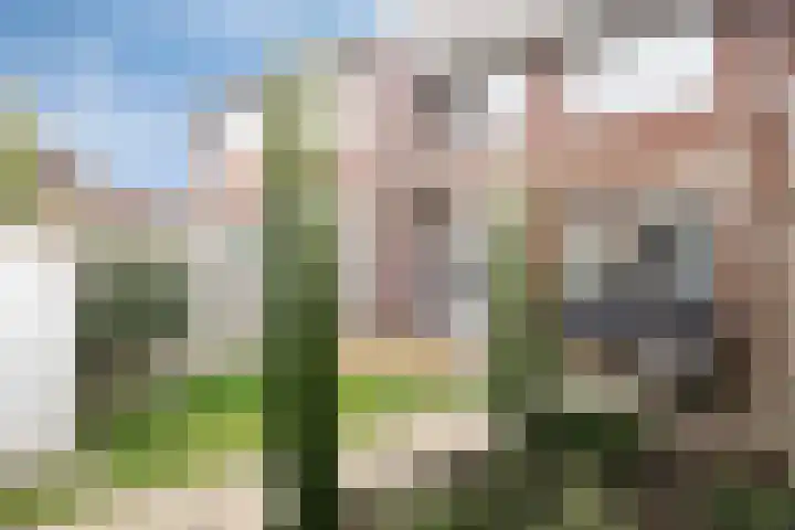 Oesterzwam 33 Apeldoorn thumbnail 25