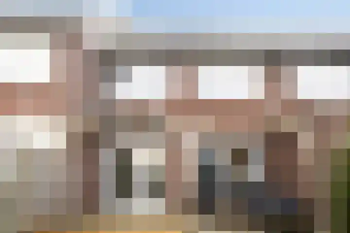 Oesterzwam 33 Apeldoorn thumbnail 26