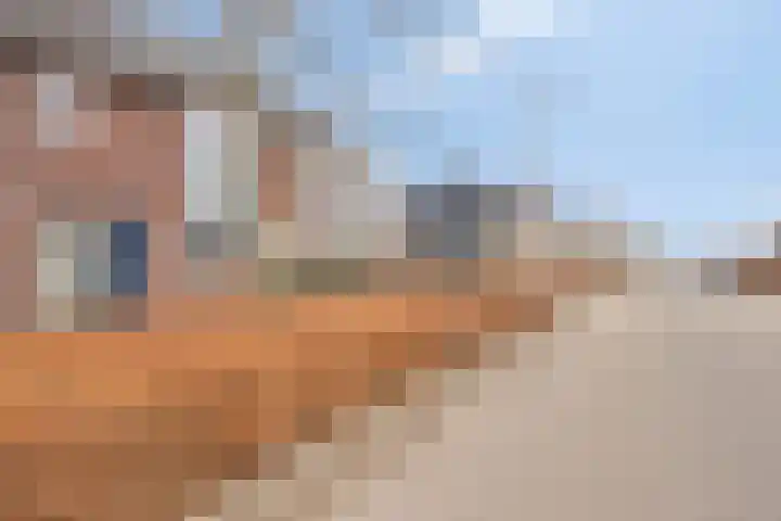 Oesterzwam 33 Apeldoorn thumbnail 27