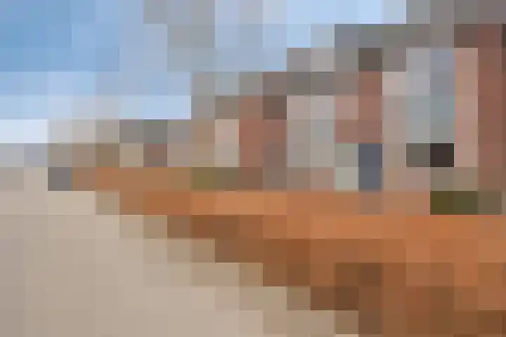 Oesterzwam 33 Apeldoorn thumbnail 28