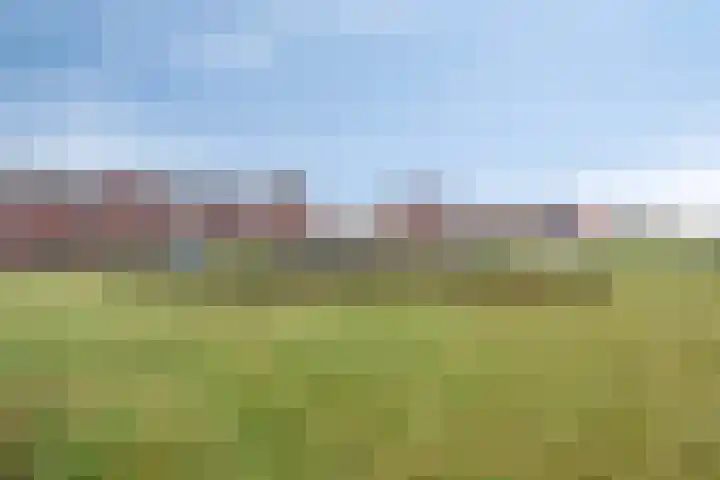 Oesterzwam 33 Apeldoorn thumbnail 29