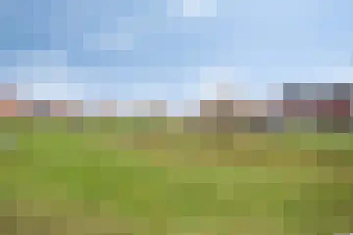 Oesterzwam 33 Apeldoorn thumbnail 30