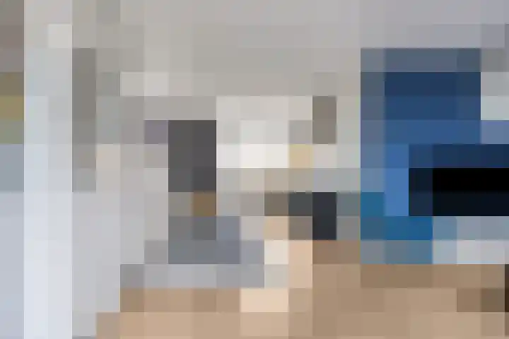 Oesterzwam 33 Apeldoorn thumbnail 4