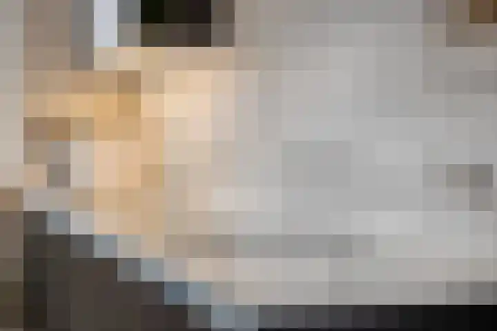 Oesterzwam 33 Apeldoorn thumbnail 6