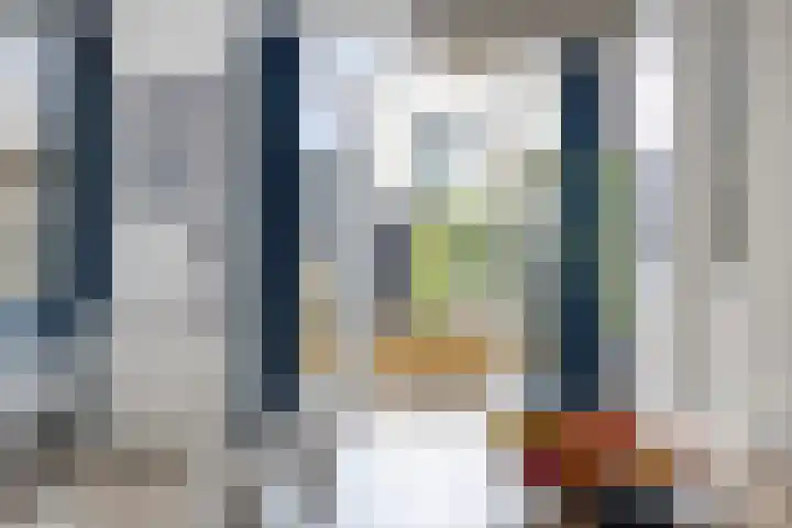 Oesterzwam 33 Apeldoorn thumbnail 9