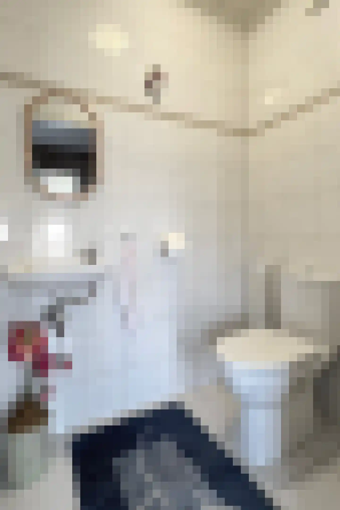 Oesterzwam 33 Standdaarbuiten thumbnail 10