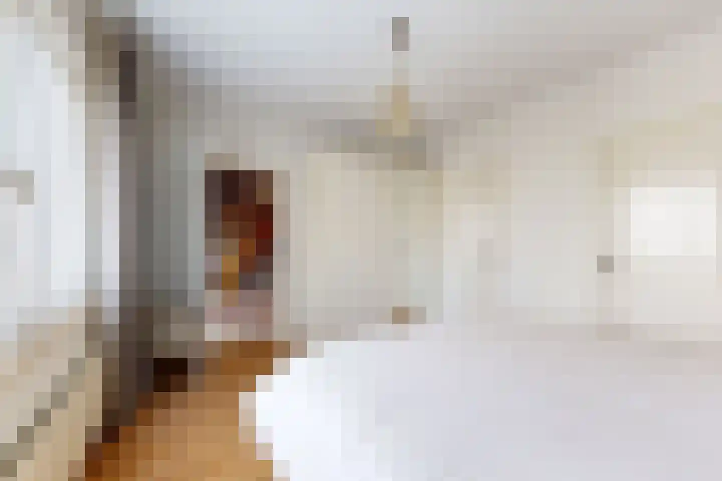 Oesterzwam 33 Standdaarbuiten thumbnail 13